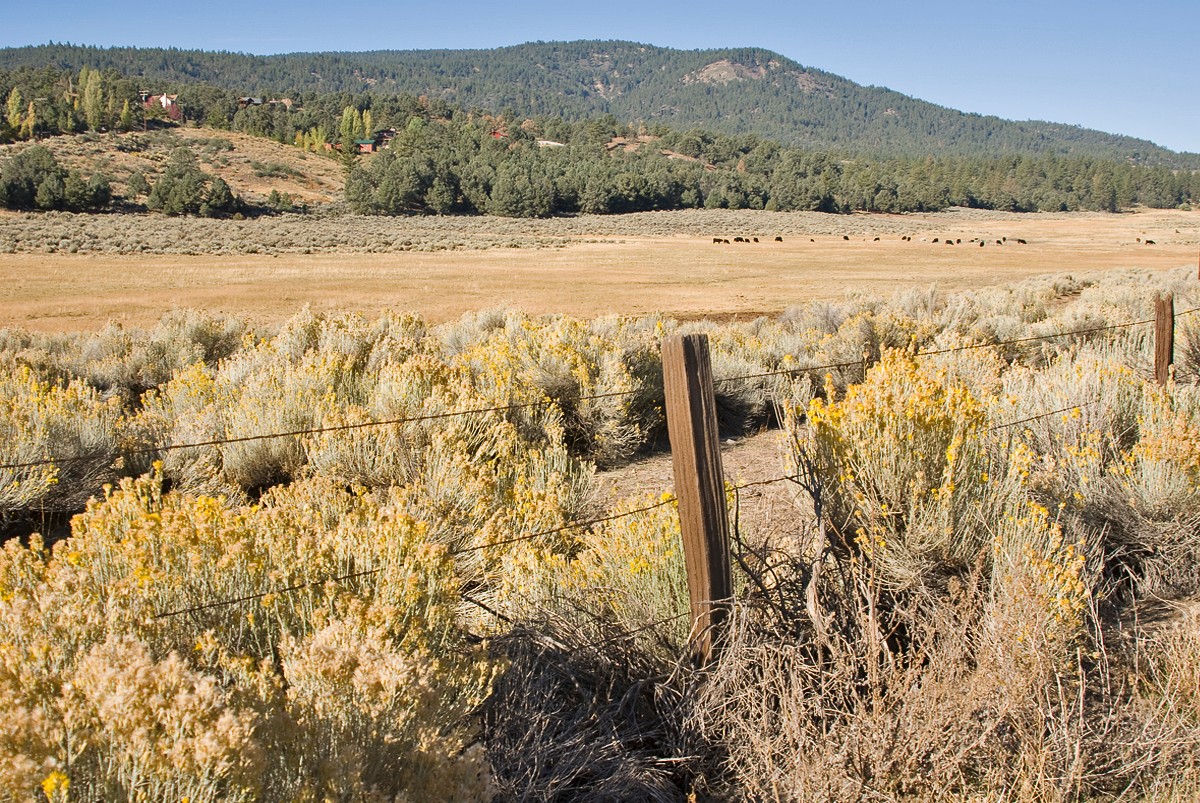 Cuddy Valley wide-open mountain meadows and ranch land