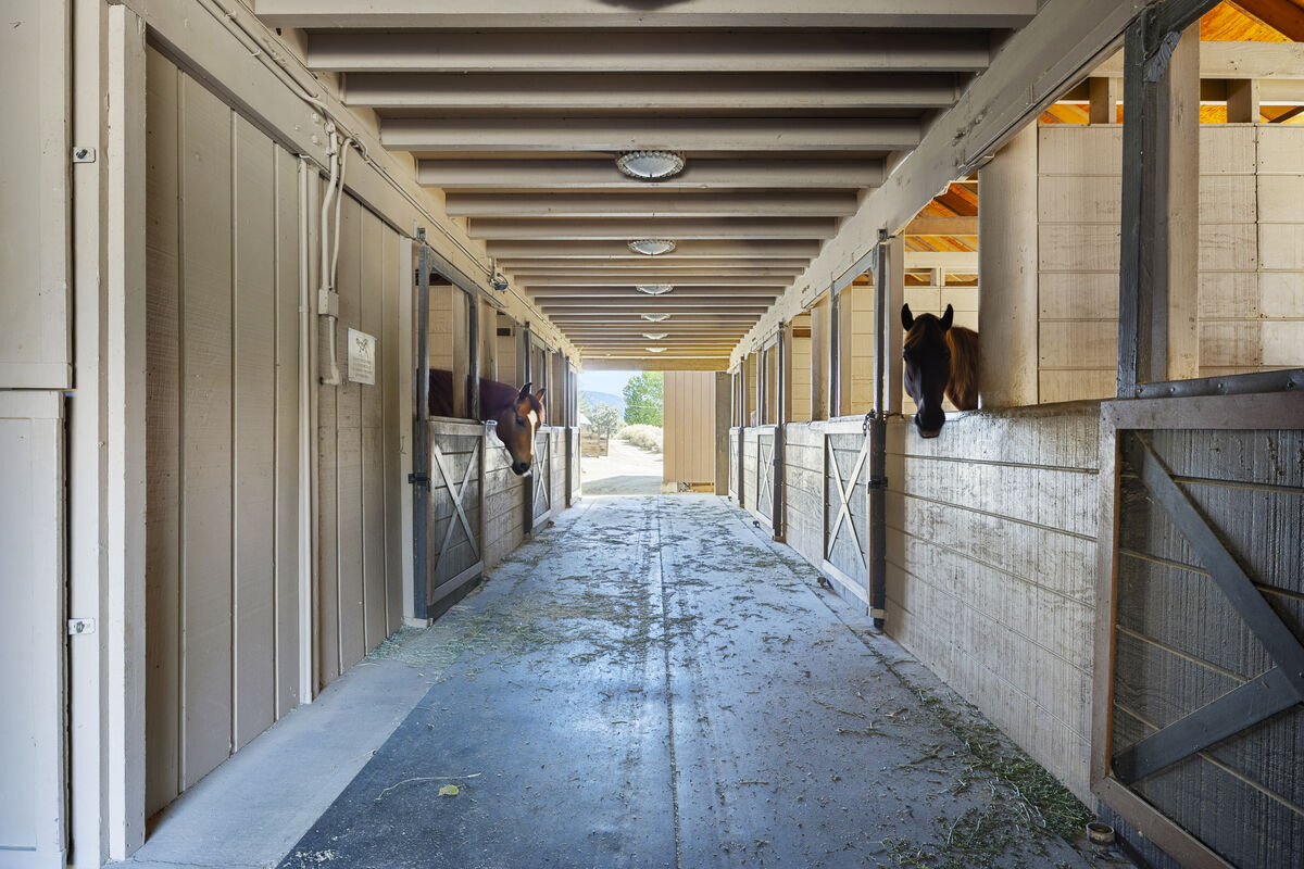 Interior of PMC Equestrian Center horse stalls with horses looking over doors