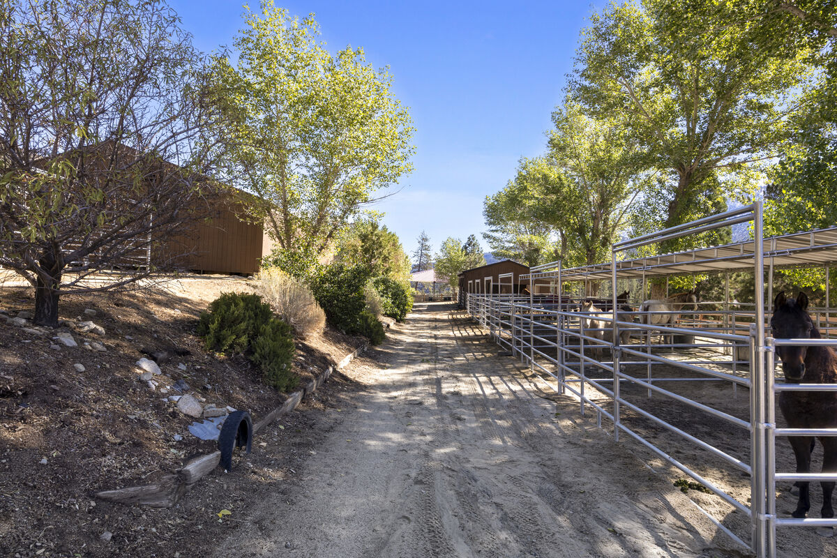 Trail path alongside horse paddocks at PMC Equestrian Center