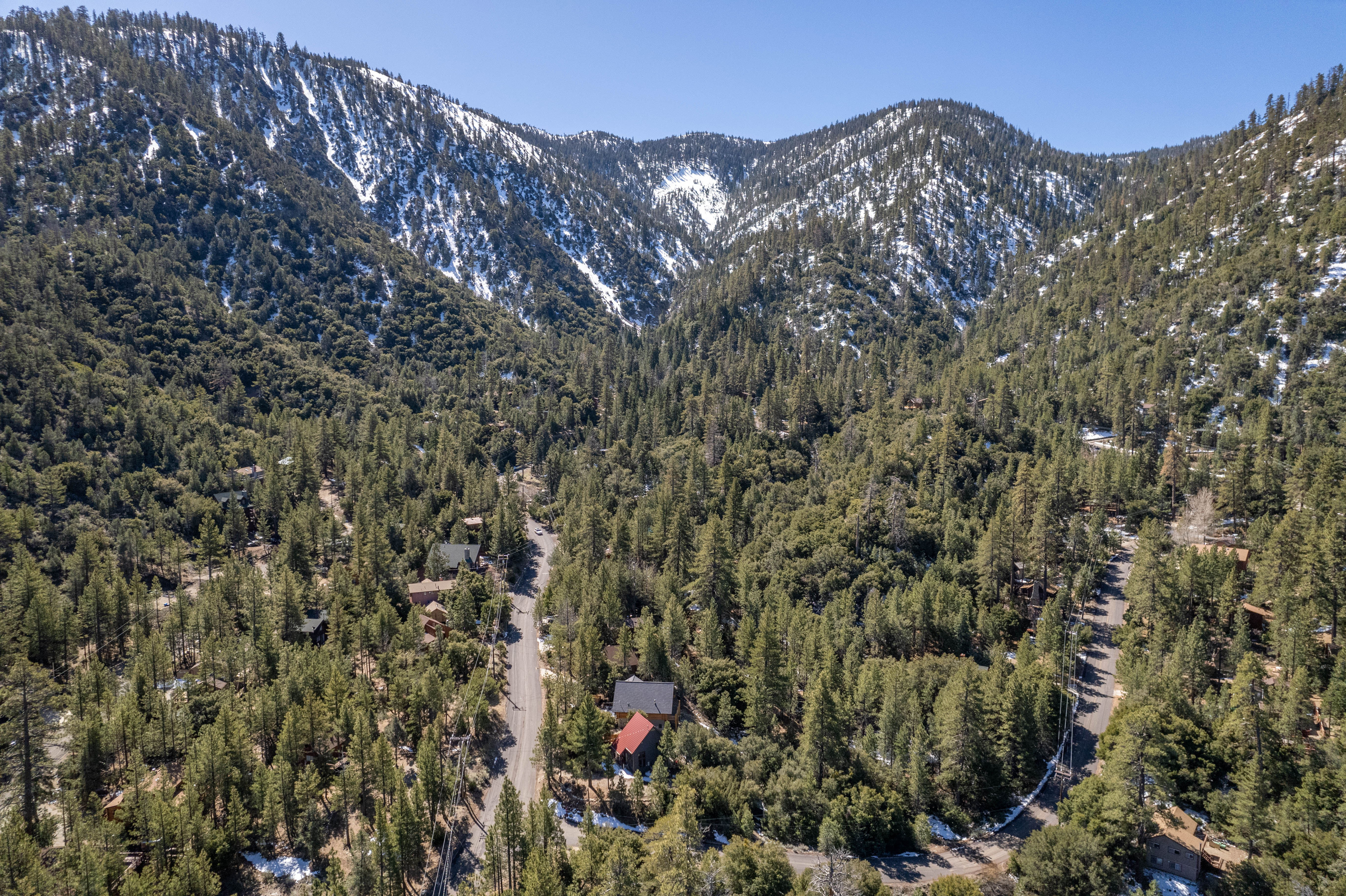 Aerial view of Pine Mountain Club homes among pine forest with snow-capped mountains